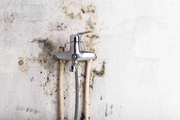 Best Mold Cleaning Services  in Bunker Hill Village, TX