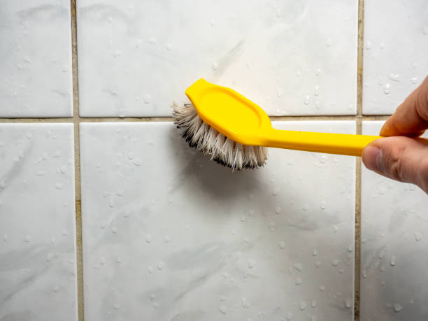 Mold Testing and Removal in Bunker Hill Village, TX