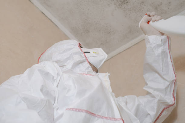 Bunker Hill Village, TX Mold Removal Company